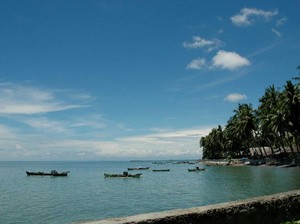 Menikah dengan Kelapa?