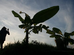 Menikmati cantiknya tanah tak berpengharapan