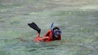 img_20120210222329_4f353671a802c.jpg