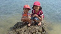 Duduk diatas batu karang