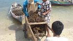 Menikmati Indahnya Pantai Teluk Awur, Jepara