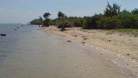 Pantainya berpasir putih