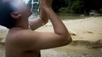 Mahe sedang mencoba untuk menghilangkan dahaganya