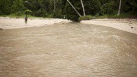 Air sungai yang mengalir ke laut di Air Belanda