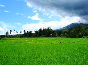 Menikmati Kesederhanaan Hidup di Kaki Gunung Dempo