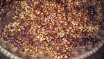 Menikmati Kopi Luwak Khas Kota Liwa