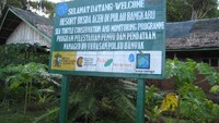 Konservasi Penyu di Pulau Bangkaru