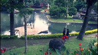 Songgoriti Park