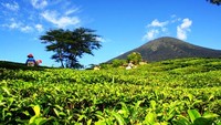 Letaknya yang persis di bawah kaki Gunung Dempo membuat udara Pagaralam masih segar alami.