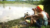 dari atas bukit