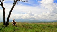 Gersang tapi hijau (YF)