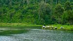 Menyusuri Sungai Citarum Hingga Mata Air Situ Cisanti