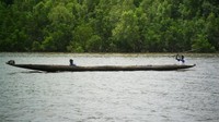 Kole-Kole, Perahu Tradisional Suku Asmat