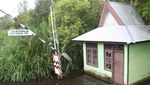 Menyusuri Sungai Sekonyer Menuju Dunia Keajaiban Tanjung Puting