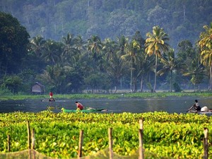 Merasakan Sensasi Alam dan Keramahan Penduduk di Danau Ranau