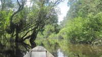 Pemandangan Danau Tahai