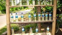 Etalase arak