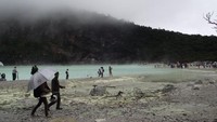 Kabut