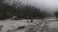Hutan sekitar kawah