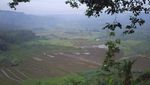 Misteri Gua Kreo, Semarang
