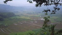 s4030030jpg