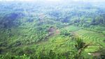 Misteri Gua Kreo, Semarang