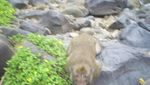 Misteri Gua Kreo, Semarang