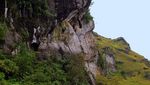 Monyet Sibaganding Turun Gunung