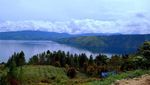 Monyet Sibaganding Turun Gunung