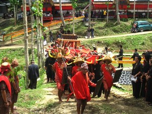 My Lovely Toraja