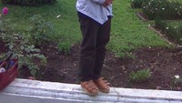 Sejenak di depan Istana Bukit Tinggi