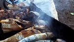 Nasi Santan Tangan Hitam