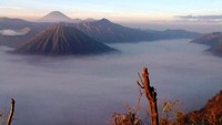 Berurutan( depan ke belakang) : Gg. Batok- Gg. Bromo- Gg. Semeru