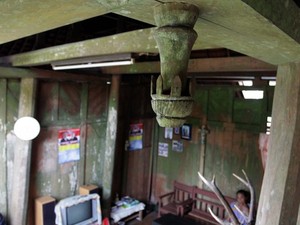 Nias Bangkit