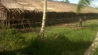 Rumah Bujang atau Jew yang panjangnya bisa mencapai 50 meter, tempat kegiatan Suku Asmat