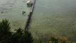 NTT Punya Pulau Komodo, Indramayu Punya Pulau Biawak