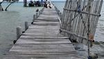 NTT Punya Pulau Komodo, Indramayu Punya Pulau Biawak