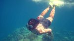 NTT Punya Pulau Komodo, Indramayu Punya Pulau Biawak