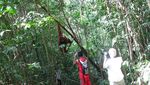 Orang Utan, Sensasi Pagi di Bukit Lawang