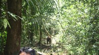 Saat sang guide mencoba mengalihkan jalan Unyuk