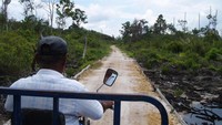 Jalan di tengah rawa bakau menuju perkampungan Suku Mantang