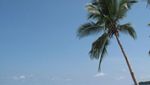 Pantai Daftel & Bukit Indah