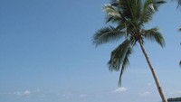 Pantai Daftel