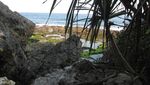 Pantai Ngobaran, Antara Karang, Pura dan Landak Laut