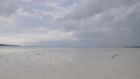 Meti kei laut surut hingga batas cakrawala