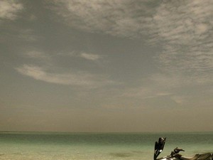 Paradise Within Reach