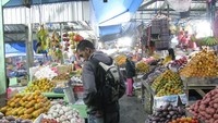 memilih buah untuk oleh-oleh
