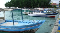 Pulau Pramuka, Petualang ACI, Citra Rahman