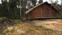 Tempat tinggal suku Manikom dan Hatam