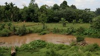 Muara sungai
